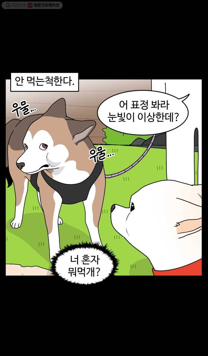 노곤하개 시즌4 19화 멍멍이와 탐색 4