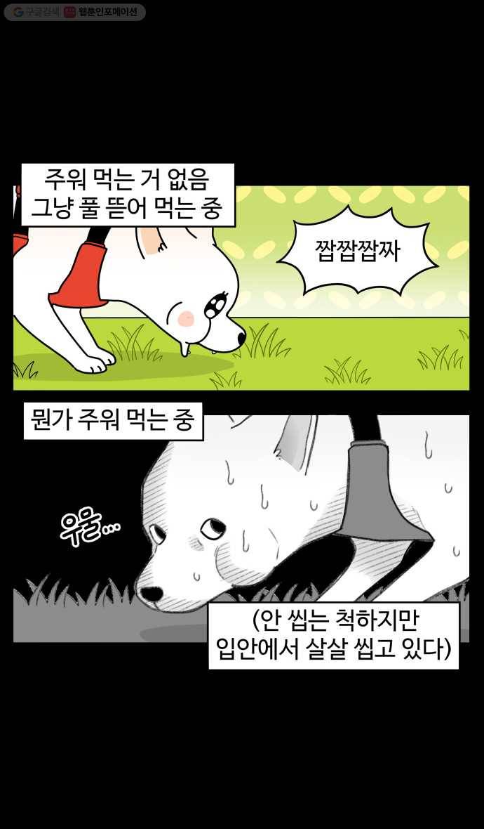 노곤하개 시즌4 19화 멍멍이와 탐색 5