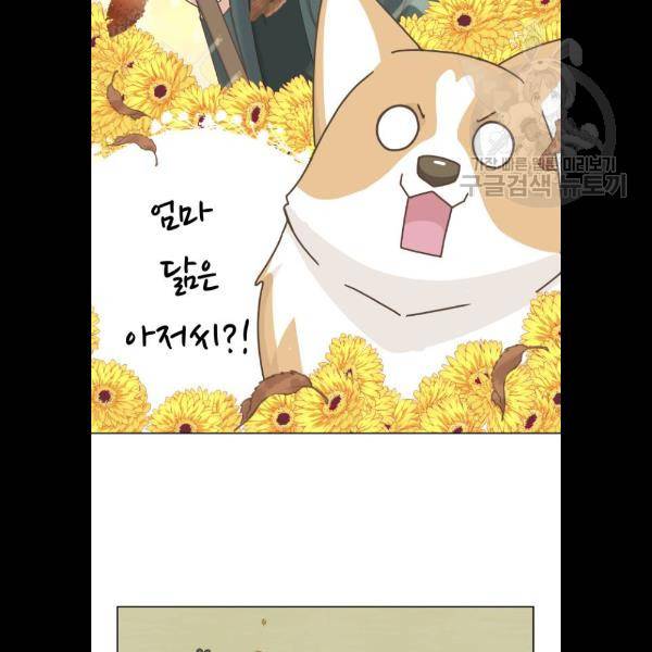 개를 낳았다 시즌2 47화 8