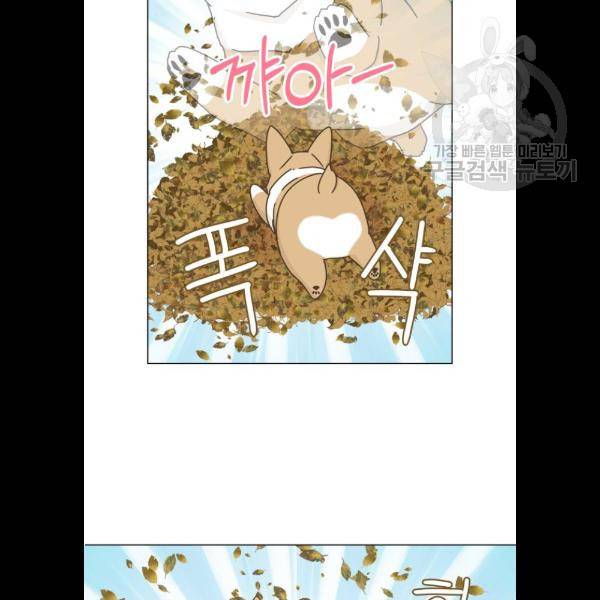 개를 낳았다 시즌2 47화 10