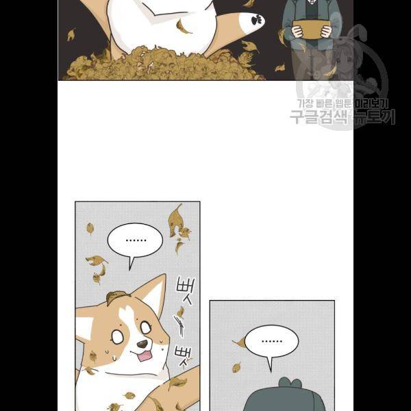 개를 낳았다 시즌2 47화 14