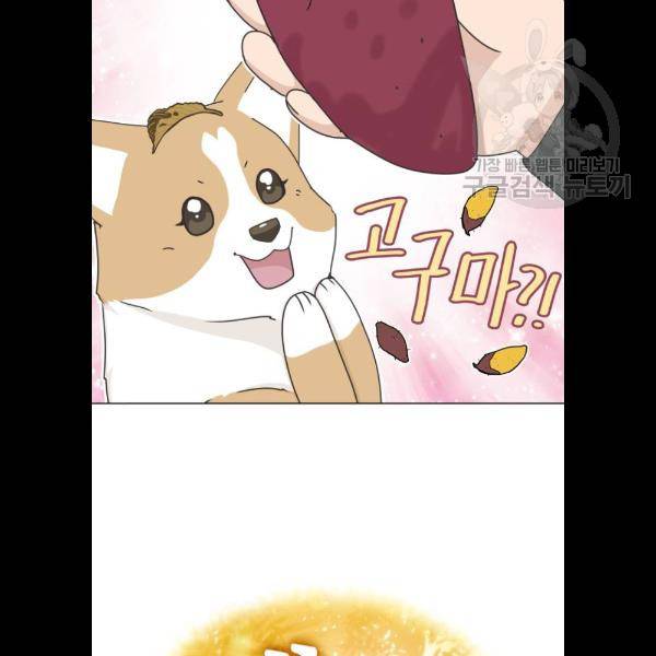 개를 낳았다 시즌2 47화 16