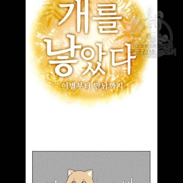 개를 낳았다 시즌2 47화 17