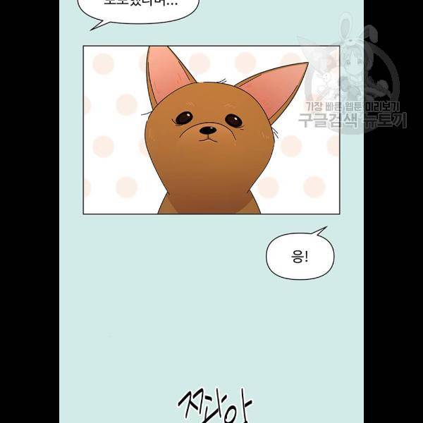 청춘 블라썸 42화 17