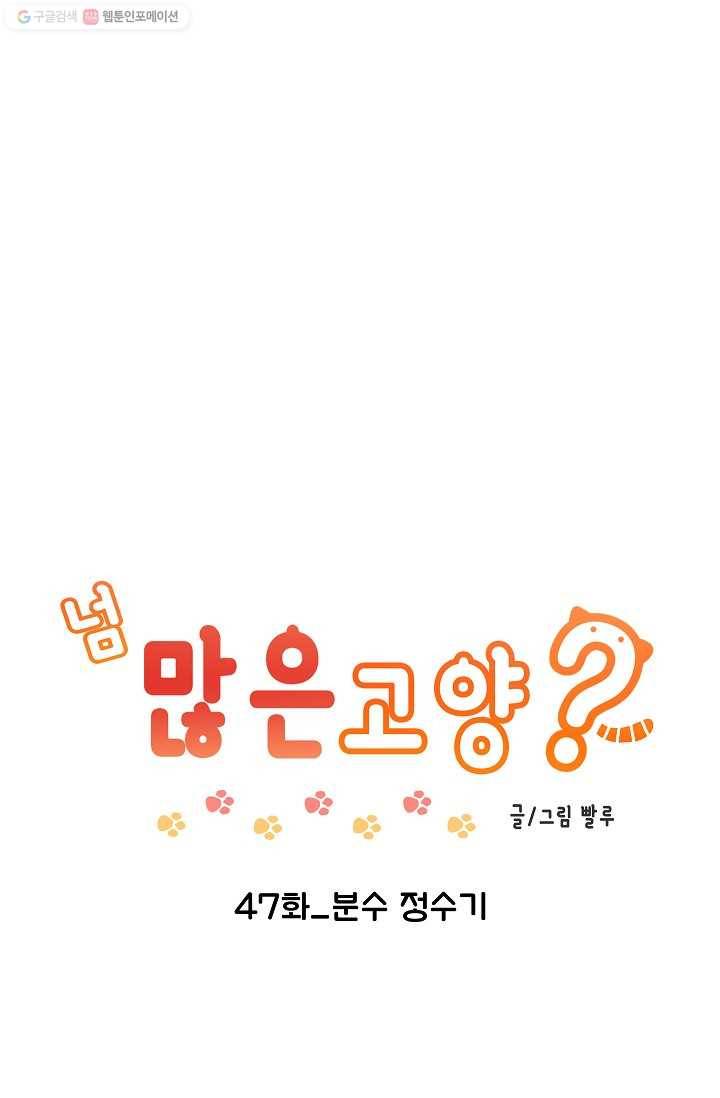 넘 많은 고양! 048화 1