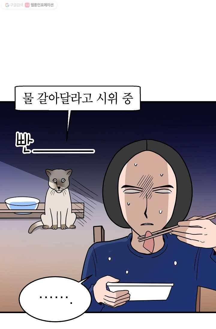 넘 많은 고양! 048화 2