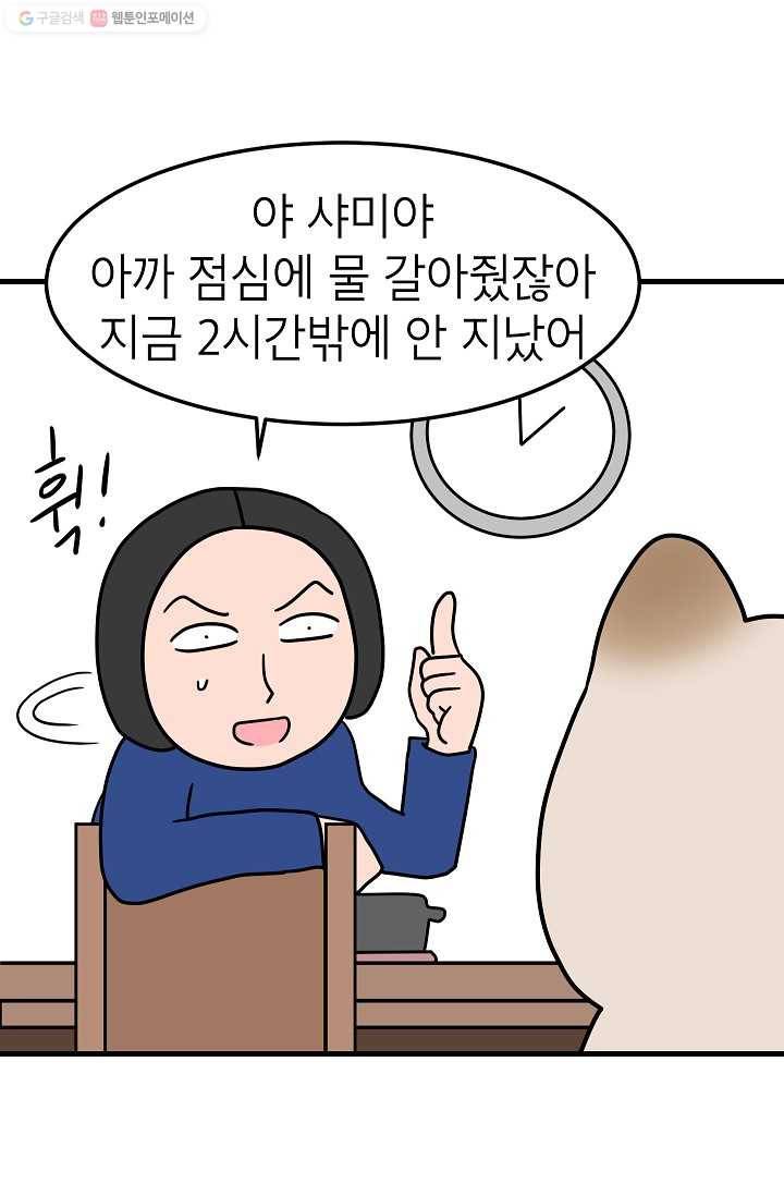 넘 많은 고양! 048화 3