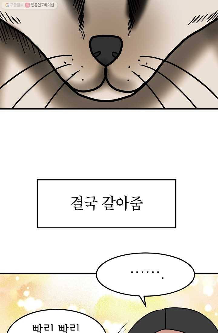 넘 많은 고양! 048화 7