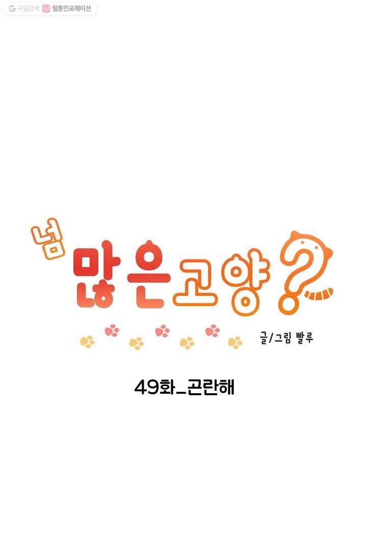 넘 많은 고양! 050화 1