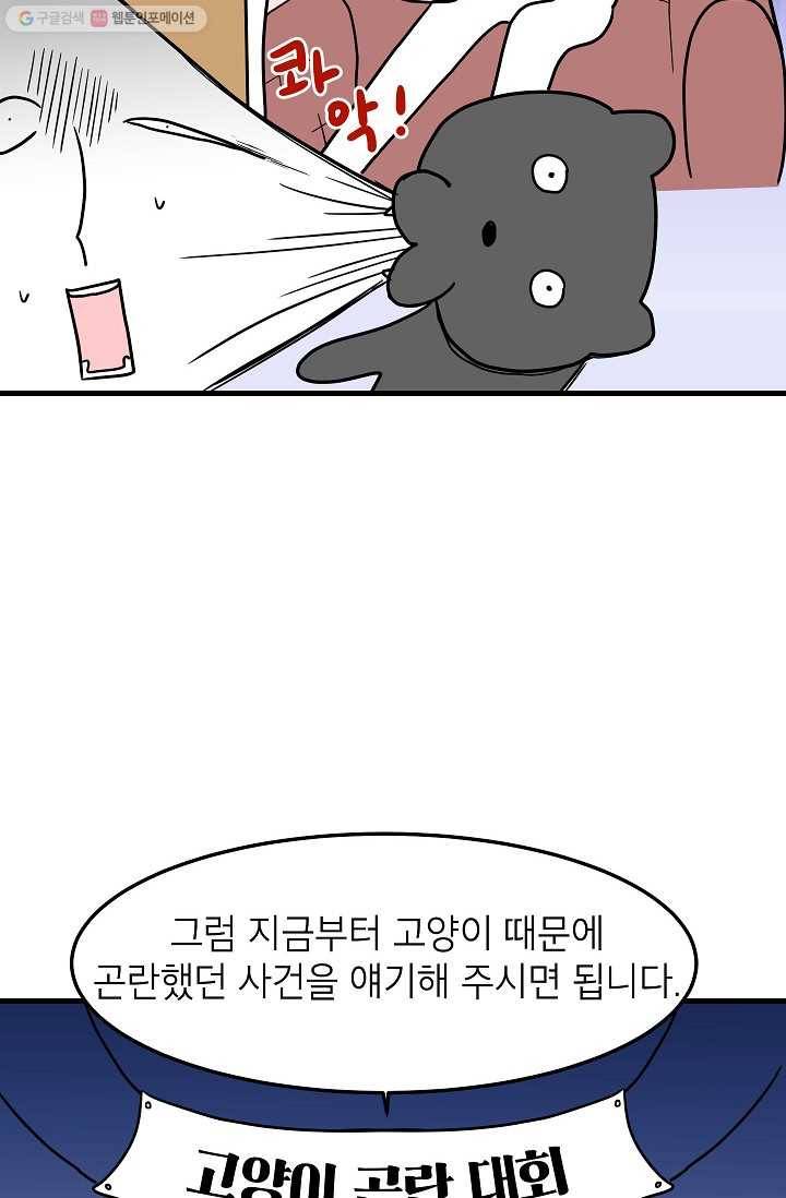 넘 많은 고양! 050화 4
