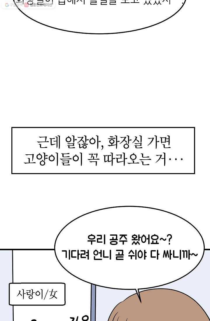 넘 많은 고양! 050화 7
