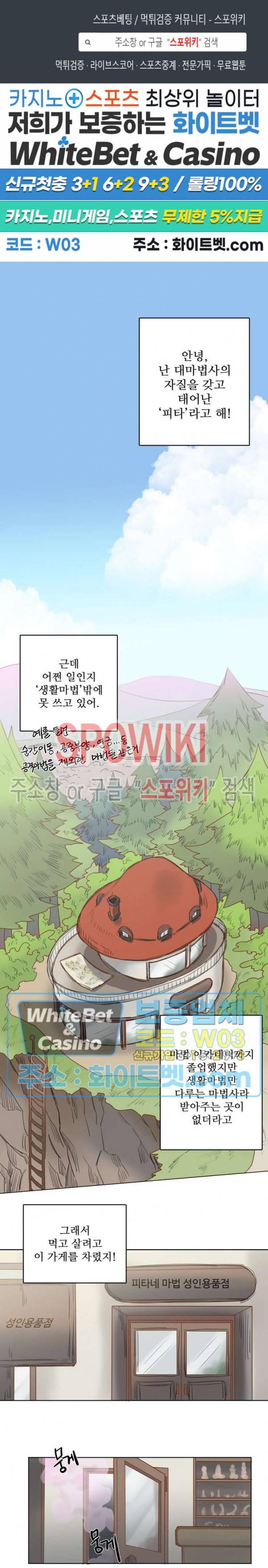 다른 의미의 대마법사 1화 1