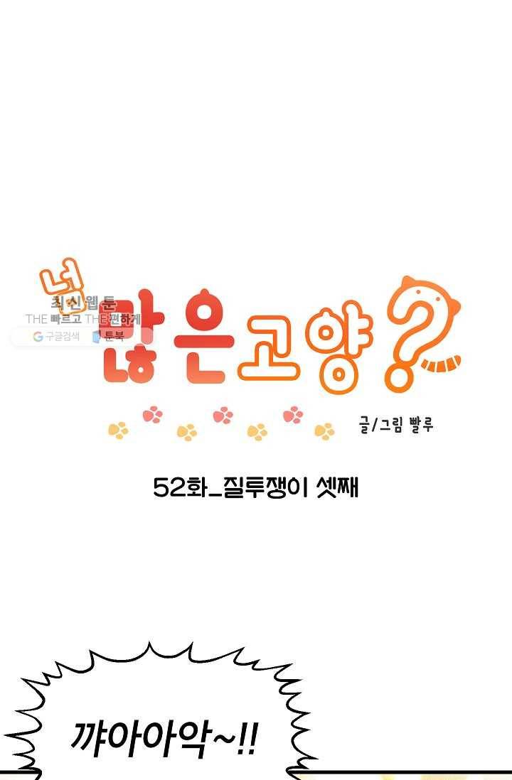 넘 많은 고양! 053화 1