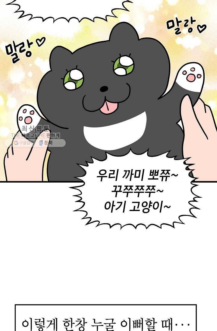넘 많은 고양! 053화 2