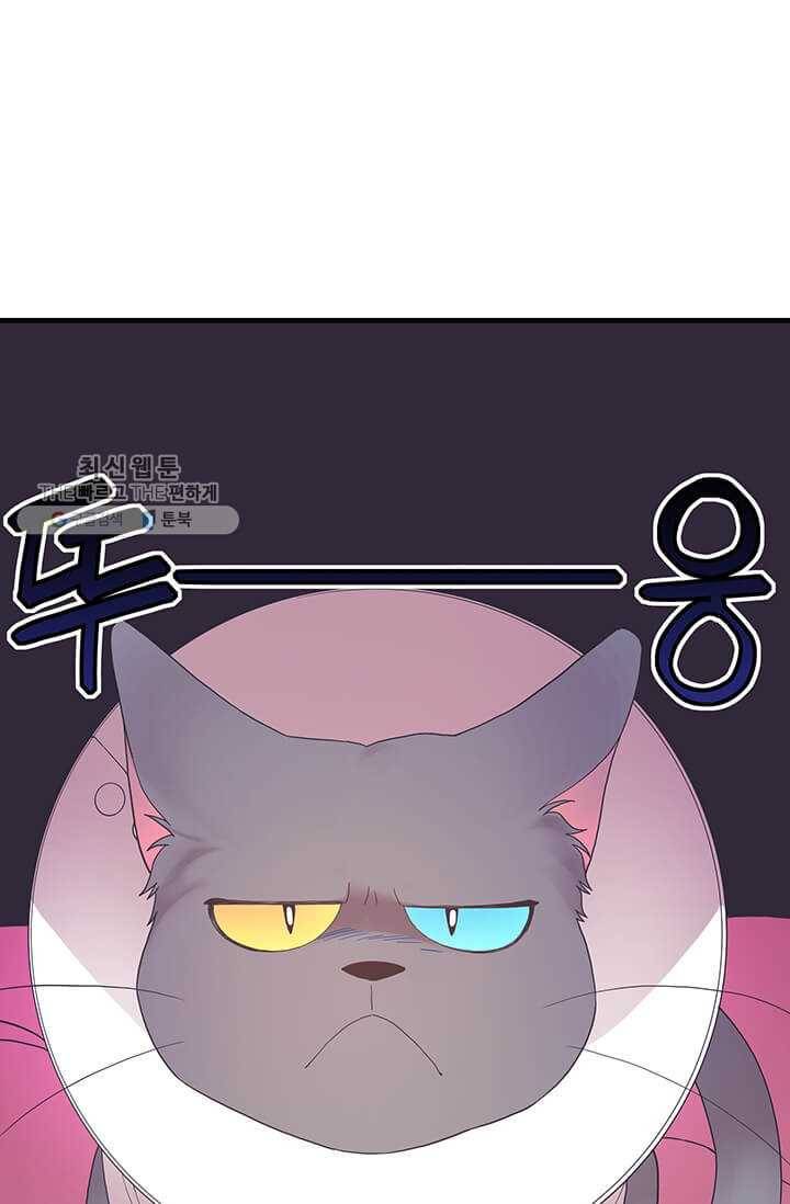 영혼의 요리사 22화 15