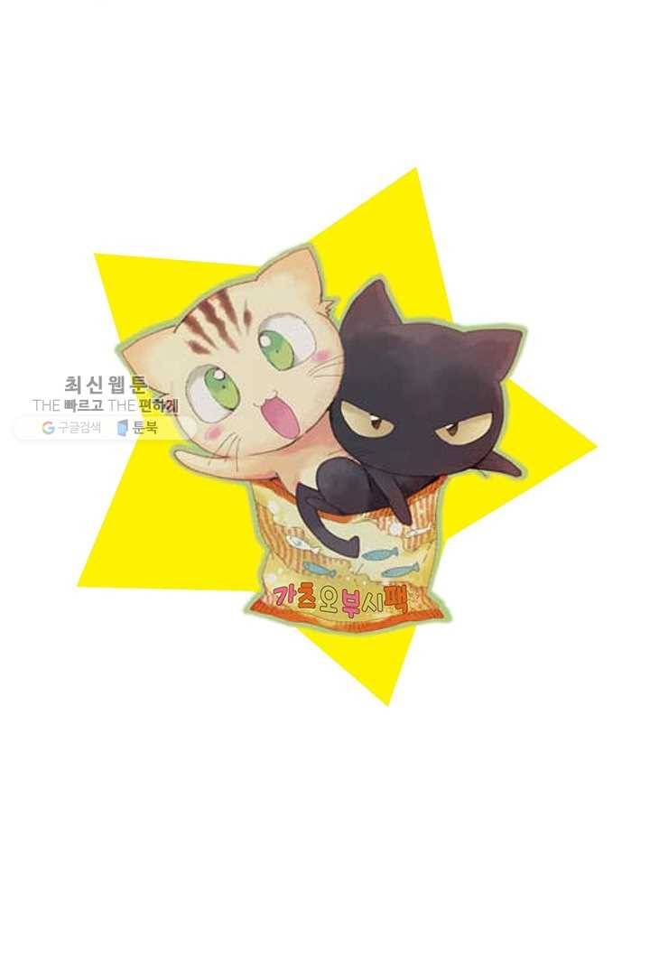 아시야 씨네 고양이 1화 2