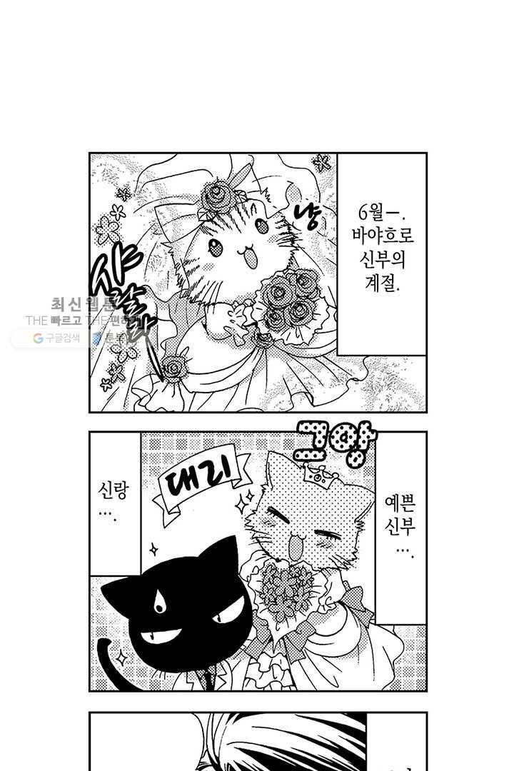 아시야 씨네 고양이 11화 3
