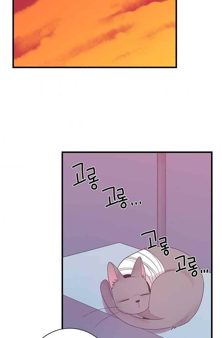 영혼의 요리사 25화 10