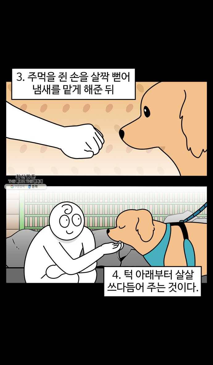 노곤하개 시즌4 41화 구들과 인사하기 5