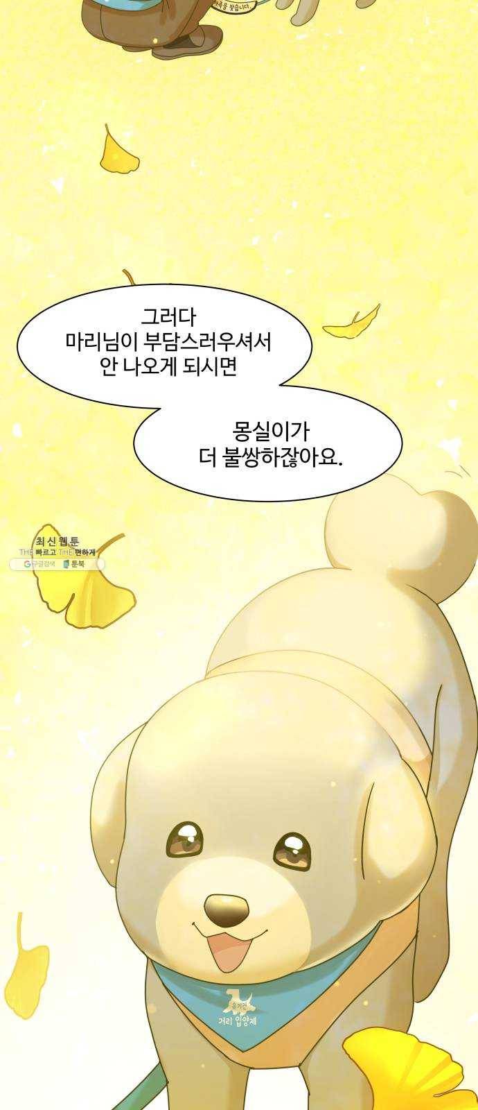 개를 낳았다 시즌2 51화 9