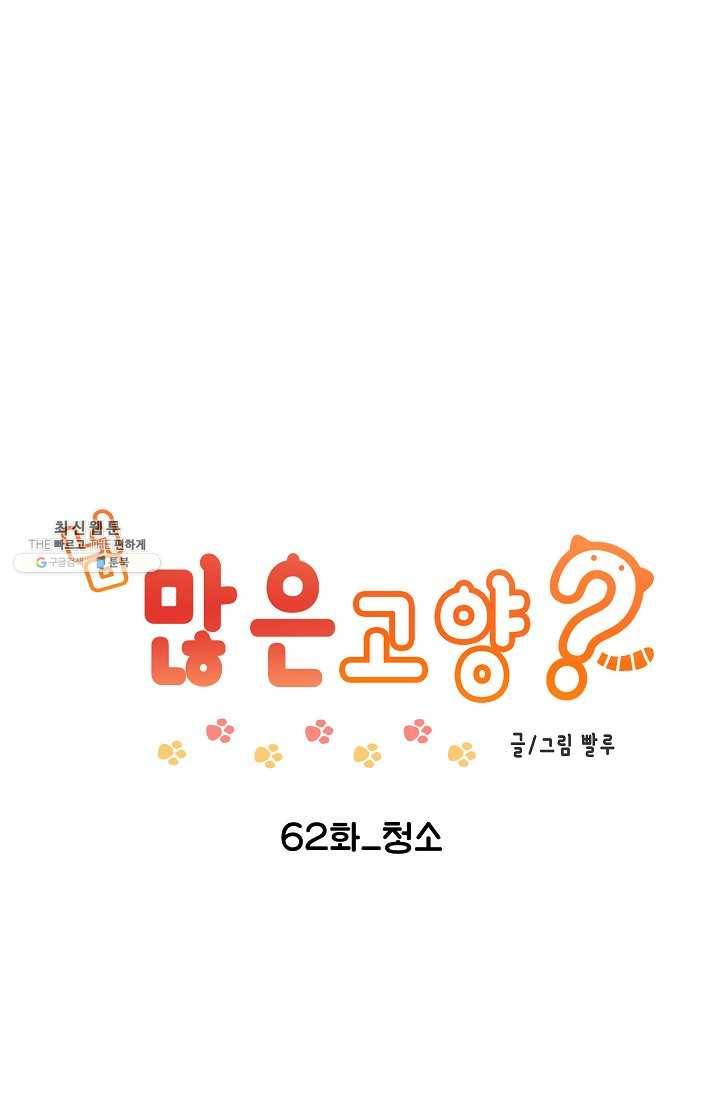 넘 많은 고양! 063화 1