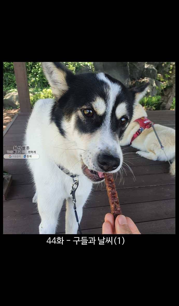 노곤하개 시즌4 44화 구들과 날씨 (1) 1