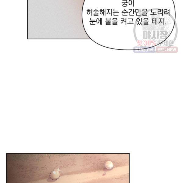 시히트왕국정복기 15화 29