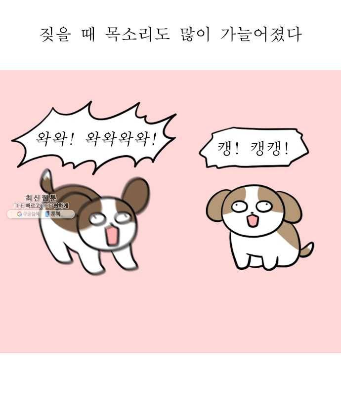 독립일기 90화 왜 점점 귀여운데 7