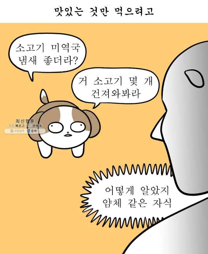독립일기 90화 왜 점점 귀여운데 9