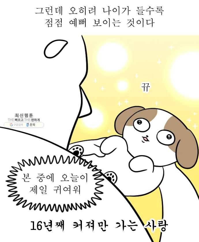 독립일기 90화 왜 점점 귀여운데 14