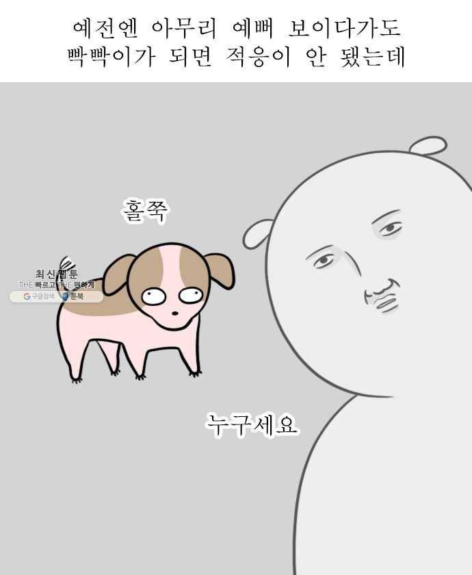독립일기 90화 왜 점점 귀여운데 15