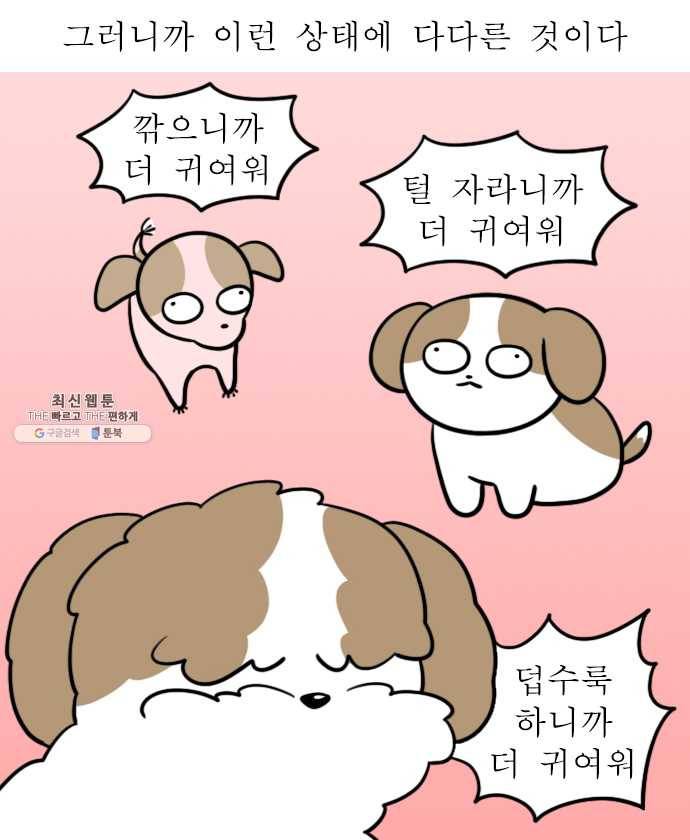 독립일기 90화 왜 점점 귀여운데 17