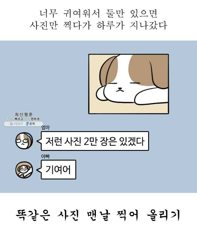 독립일기 90화 왜 점점 귀여운데 18