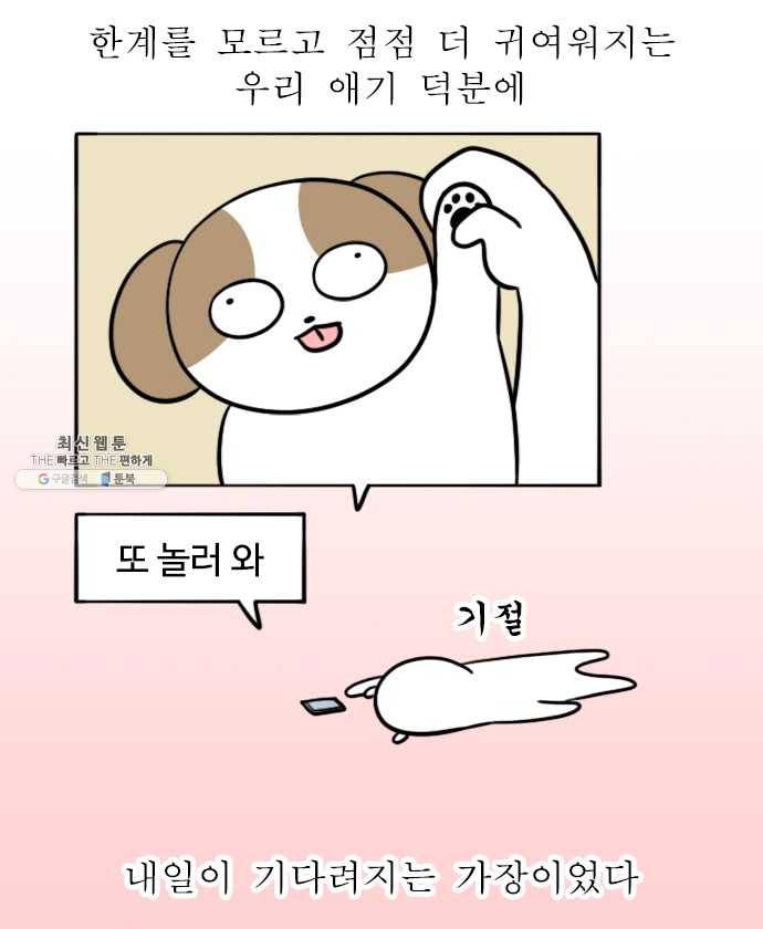 독립일기 90화 왜 점점 귀여운데 19