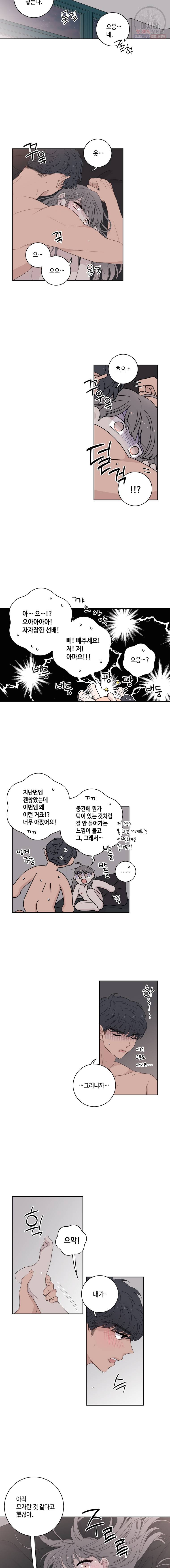 토이 콤플렉스 21화 2