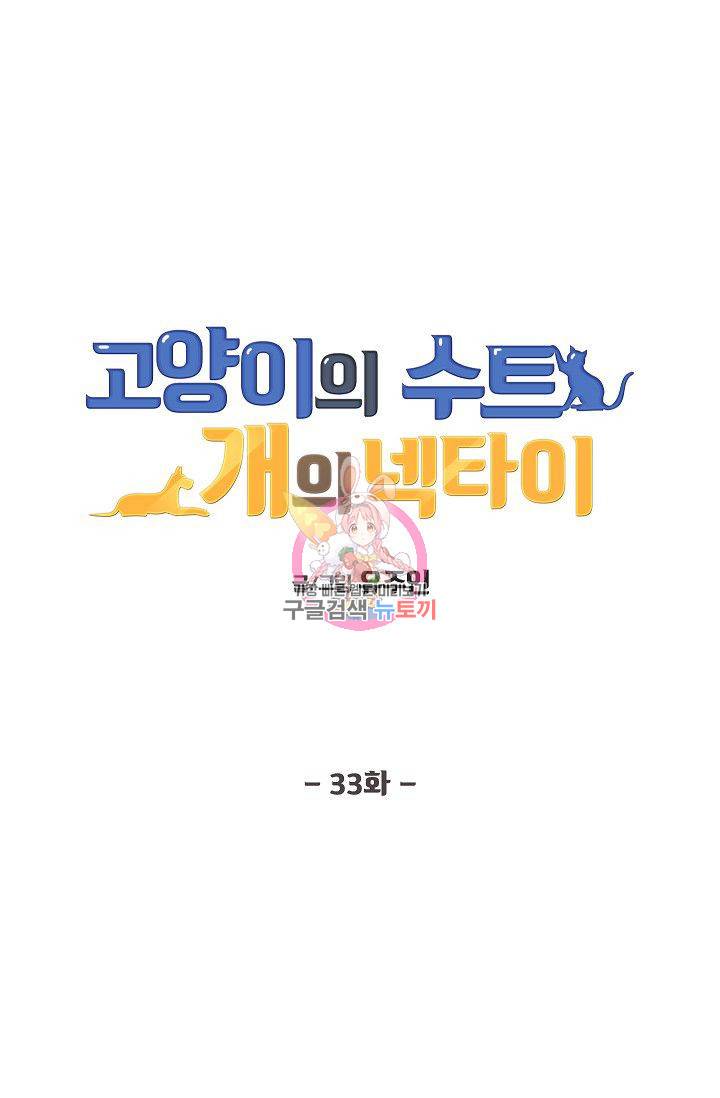 고양이의 수트 개의 넥타이 33화 1