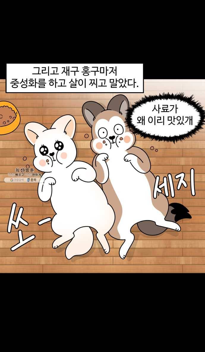 노곤하개 시즌4 48화 다이어트 6