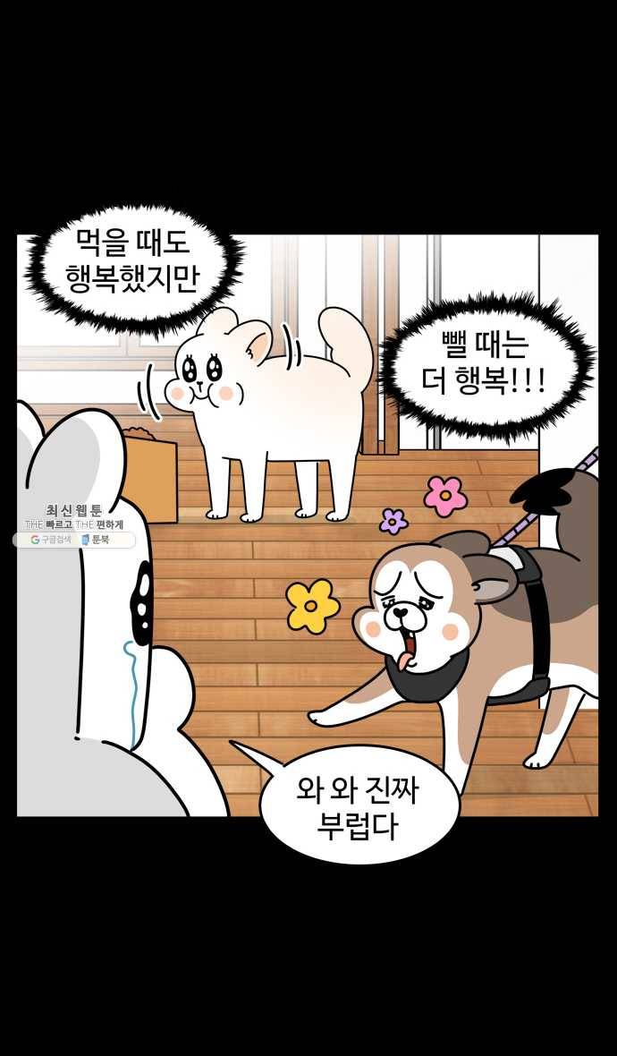 노곤하개 시즌4 48화 다이어트 10