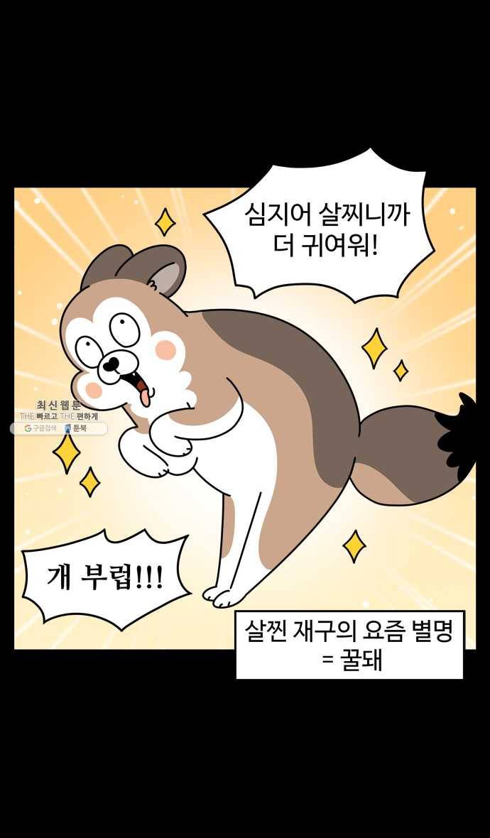 노곤하개 시즌4 48화 다이어트 11