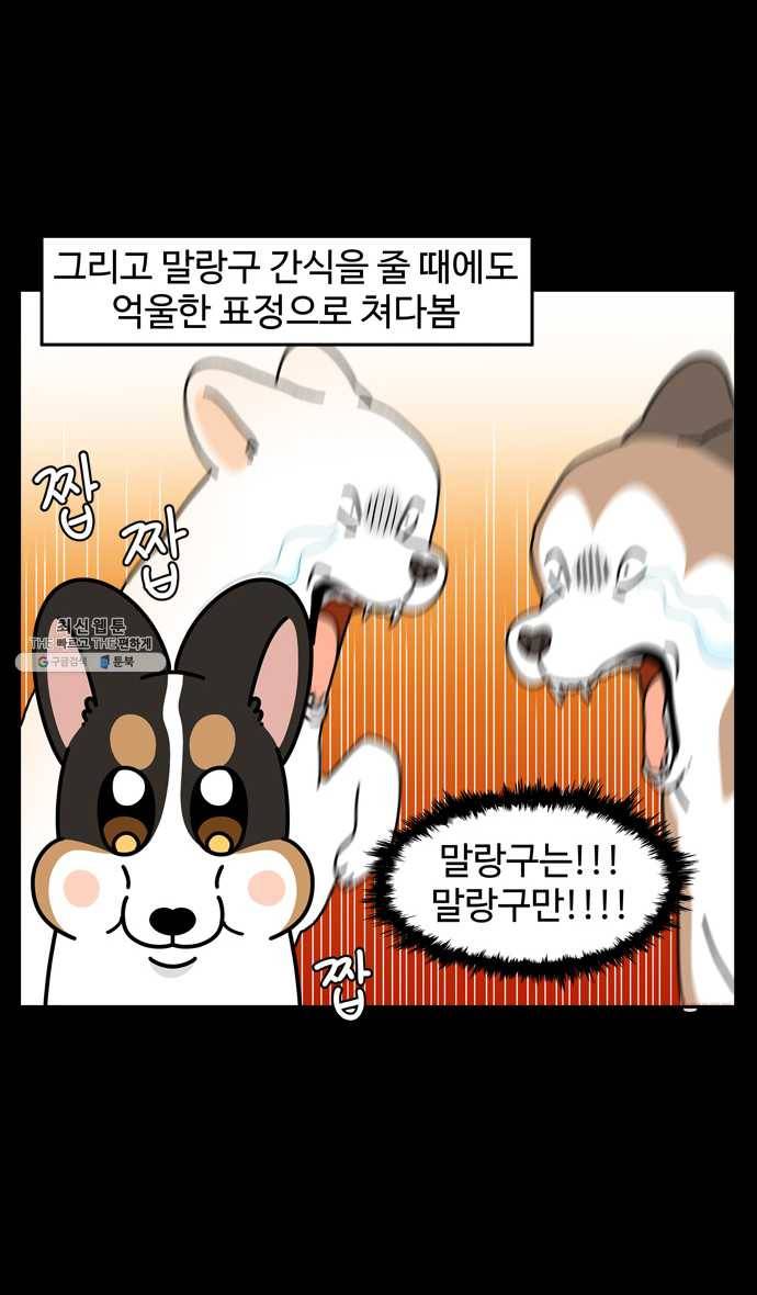 노곤하개 시즌4 48화 다이어트 15