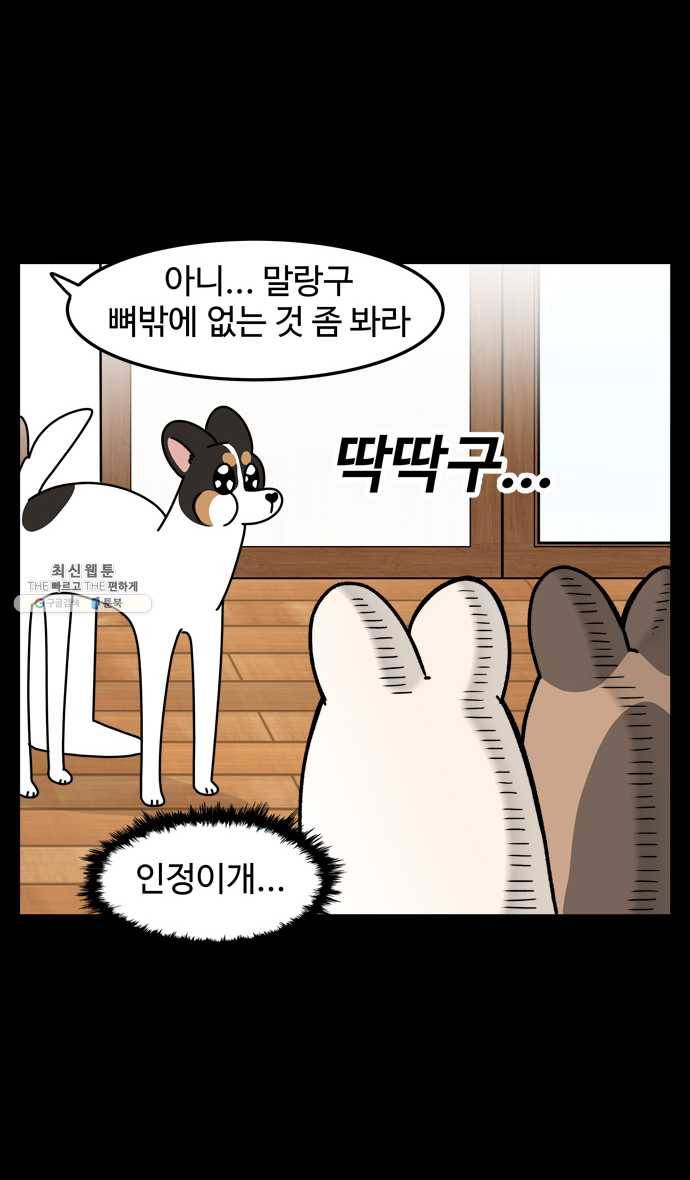노곤하개 시즌4 48화 다이어트 16