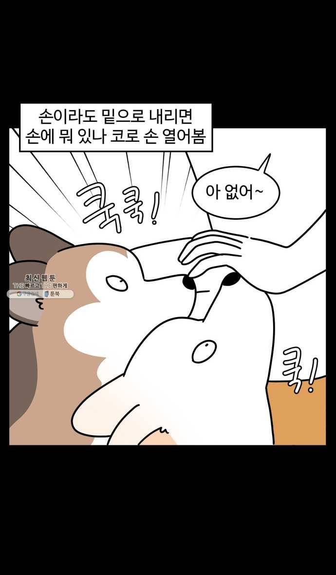 노곤하개 시즌4 48화 다이어트 18