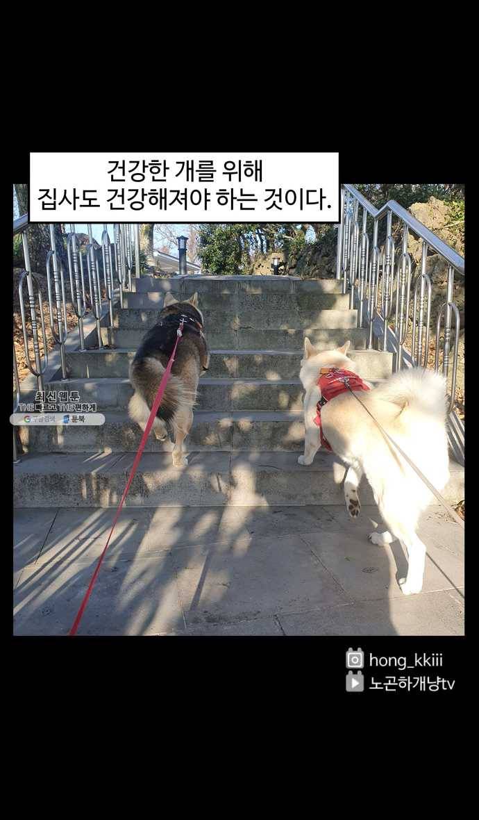 노곤하개 시즌4 48화 다이어트 22