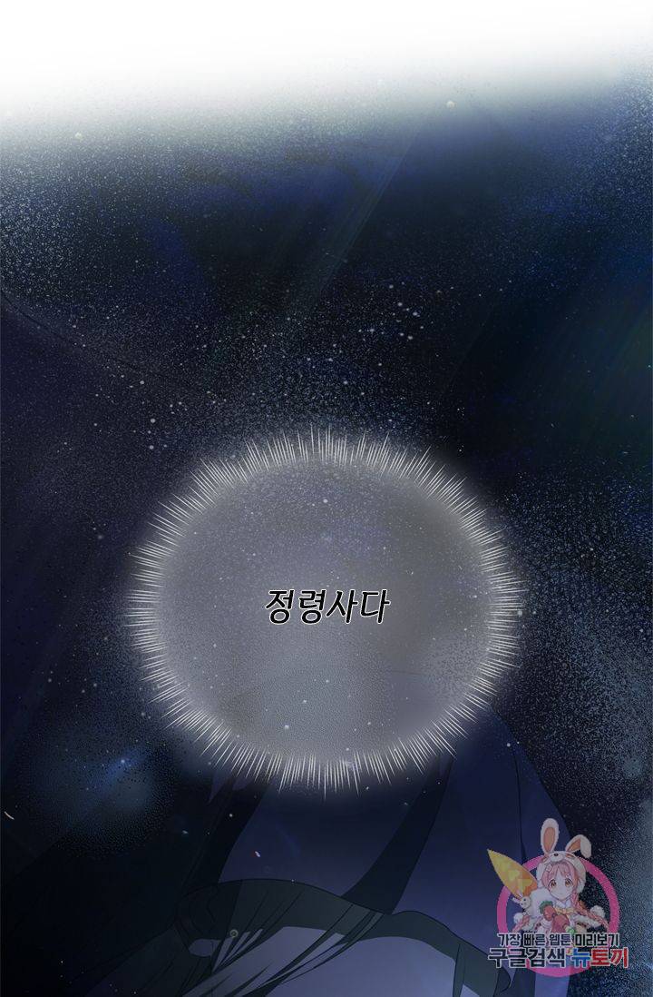 금발의 정령사 66화 91