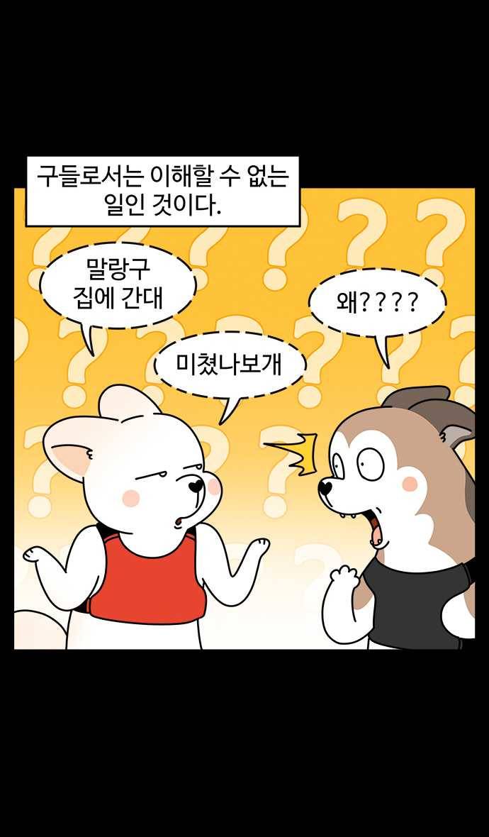노곤하개 시즌4 51화 줄 꼬기 5
