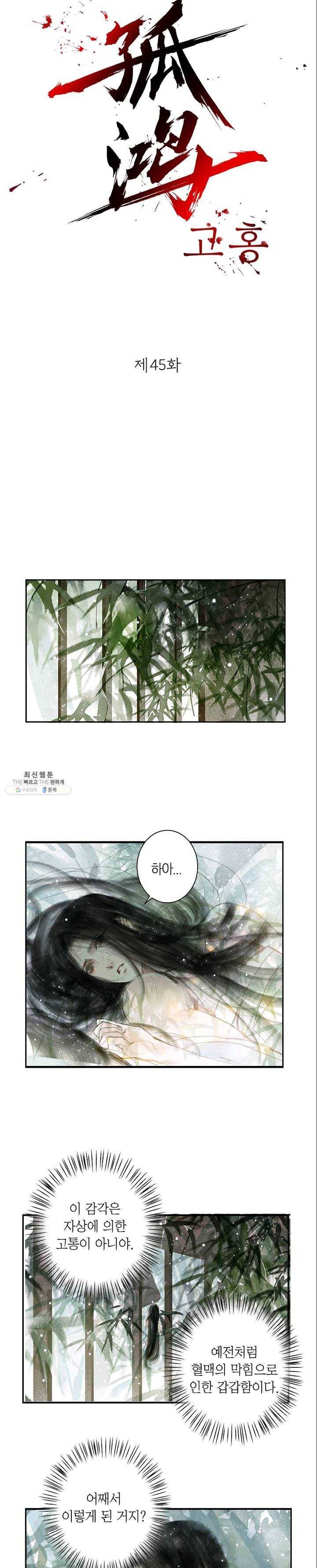 고홍 45화 3