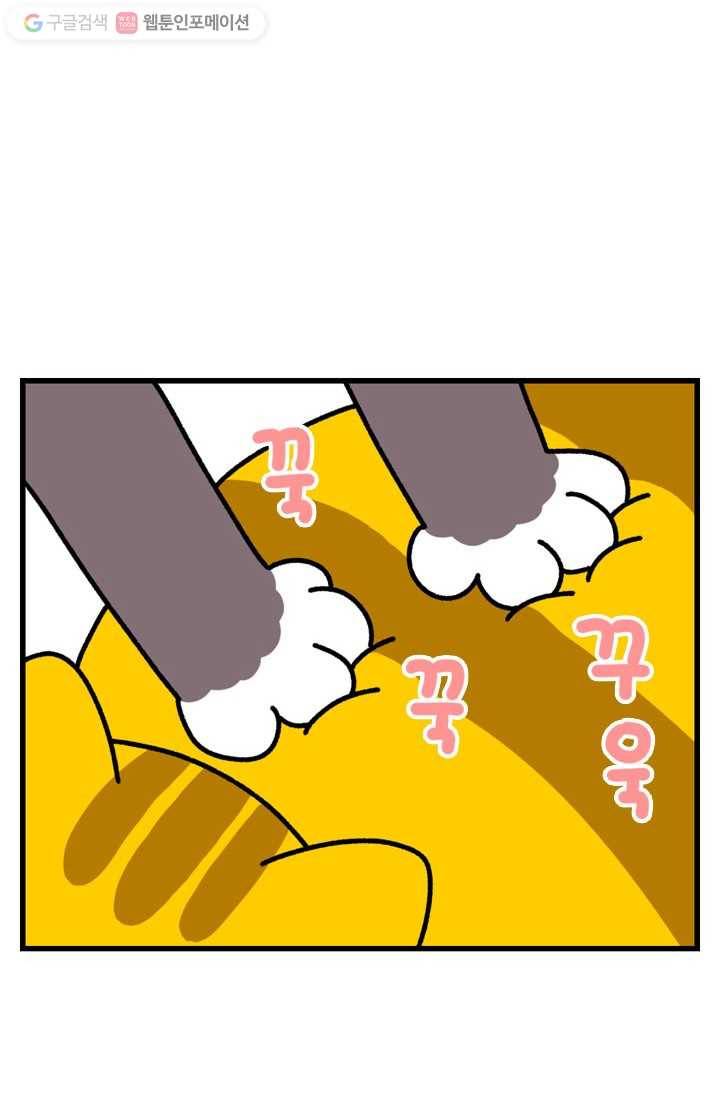 신세개냥 10화 2