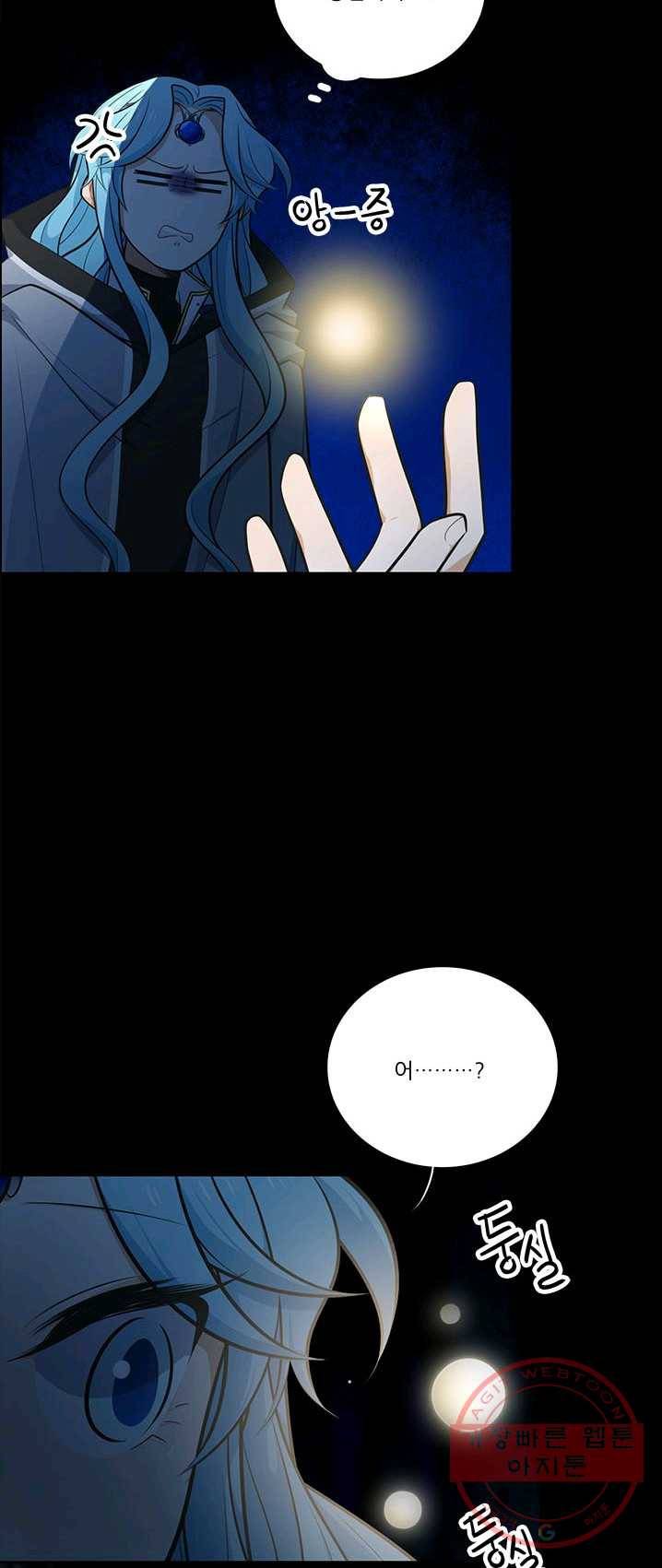 정령왕 엘퀴네스 192화 12