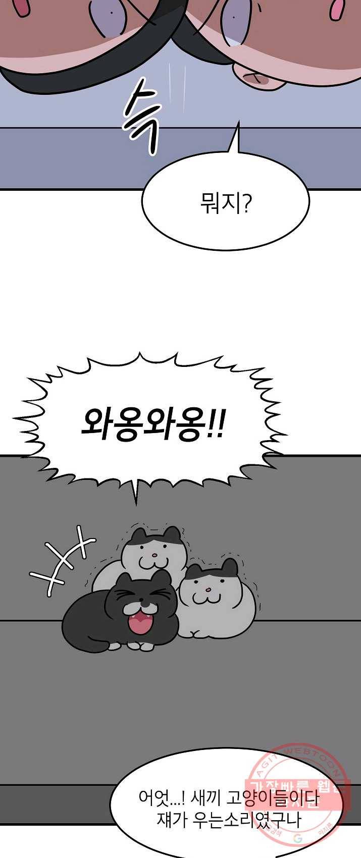 넘 많은 고양! 078화 4