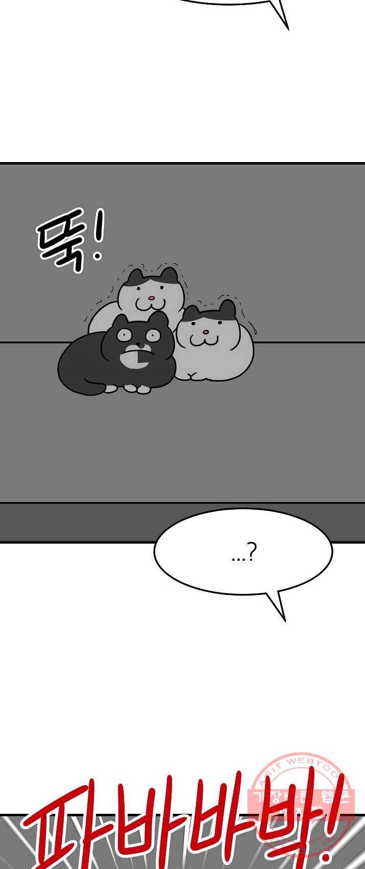 넘 많은 고양! 078화 5